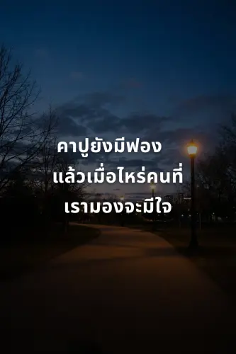 efb512174a75.webp