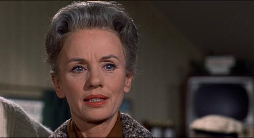 vlcsnap 2026 01 20 08h31m14s353.png