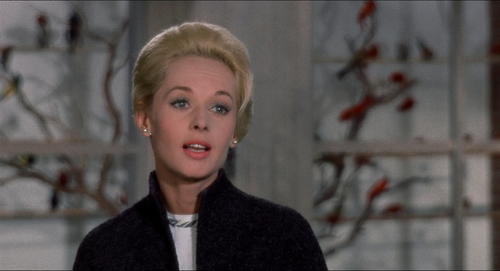 vlcsnap 2026 01 20 08h24m29s517.png