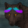 Bio pfp.png