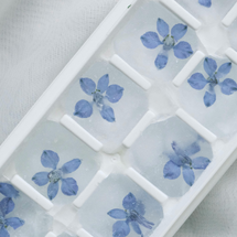 Untitled design (45).png