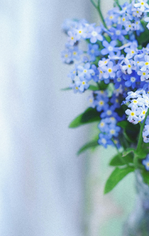 Untitled design (44).png