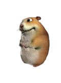 Hamster