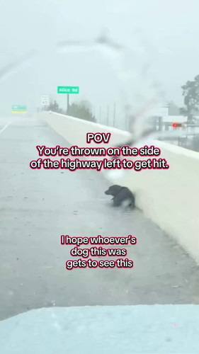 OiOYXBYFnGwoRKjw.jpg