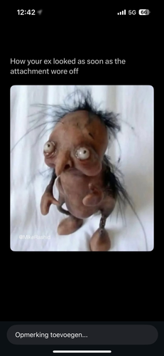 IMG 5797.png