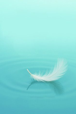 A journey back to you Book Cover Design 06 (1).jpg
