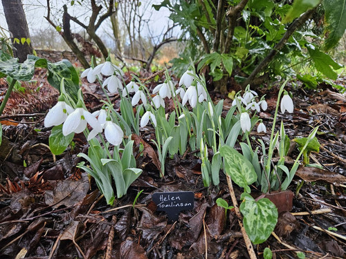 G M4BJoW4AA JZj?format=jpg.jpg