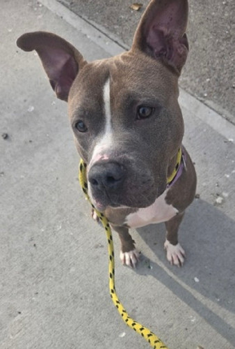 G ID1 tWUAAfcV6?format=jpg.jpg