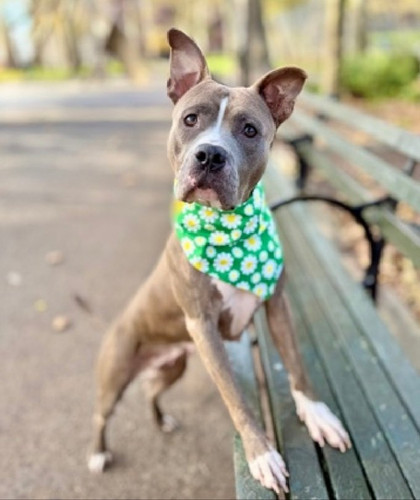 G ID1 FXkAE2Qi5?format=jpg.jpg