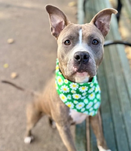 G ID1 lWYAA8yqt?format=jpg.jpg