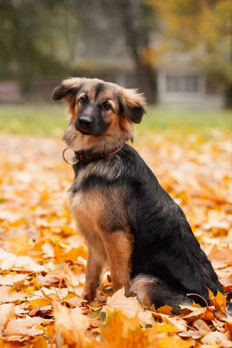 G Mn5PQW8AAnnpv?format=jpg.jpg