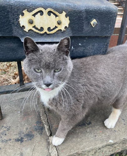 G MN1dKWcAACxLp?format=jpg.jpg