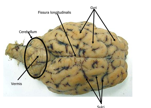 32f036026bf9.png