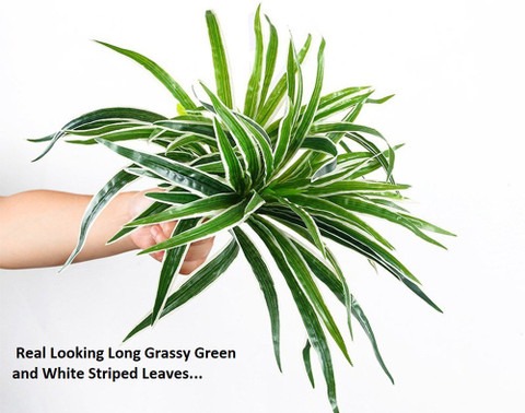 artificial spider plant with des.jpg