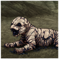 IMG 3726.png