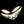 222222222222222222222222222222 (1).webp
