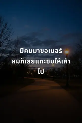 e3248bbc7624.webp