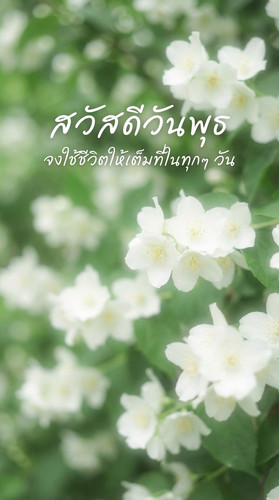 uc?id=1qmRnbMp ZGoiN9mEp YhjPhrmRhENbxN&export=download.jpg