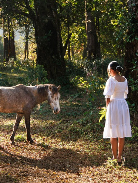 Jungle Resort In Wayanad | Jungleparkresort.com.jpg