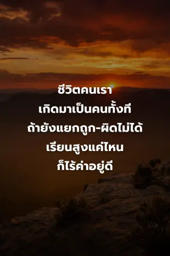 38593cceeae7.webp