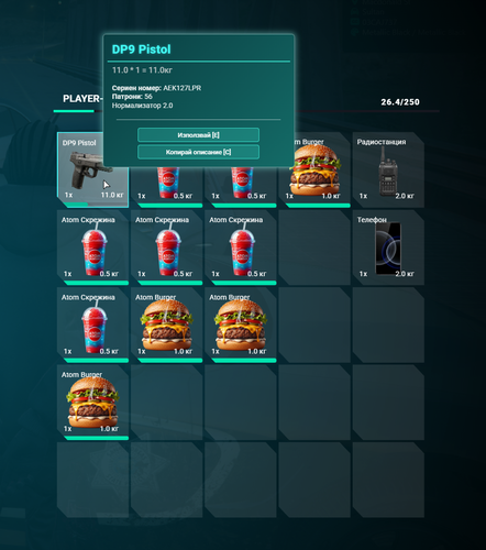 FiveM GTAProcess xdTDqY7ka8.png