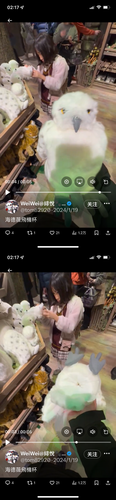 EF7C503C 21C3 43ED 964D DFF19208A492.png