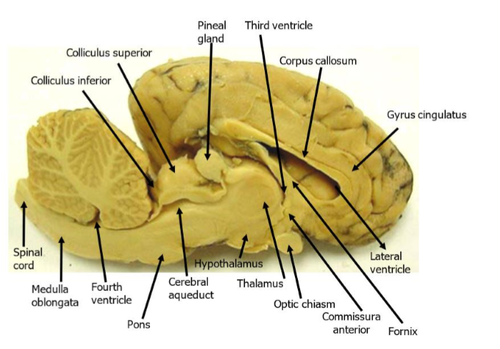 08144a474f6d.png