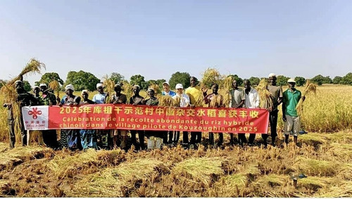 G MfO JbEAAlQyL?format=jpg.jpg