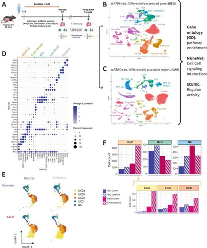 G ISz5mW0AEfYbg?format=jpg.jpg