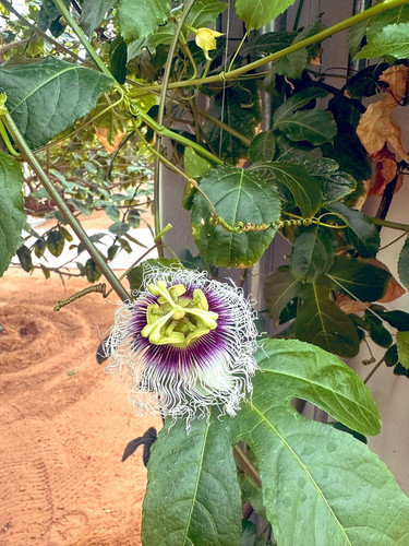 G GMo4fXIAAudJy?format=jpg.jpg