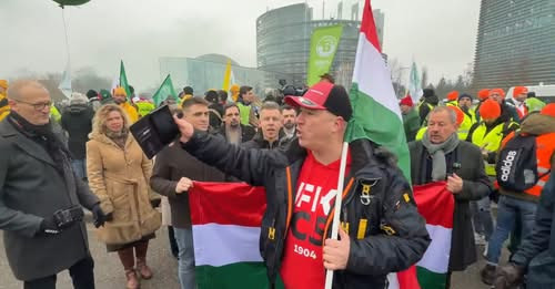 17862294157545904853?url=https%3A%2F%2Fassets.4cdn.hu%2Fkraken%2F8IMAiMVxQbBvlKO5s lg.jpeg&fb obo=1&.jpg