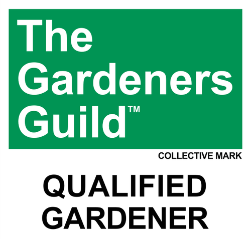 Square RGB Colour Square QG 01 (1).png