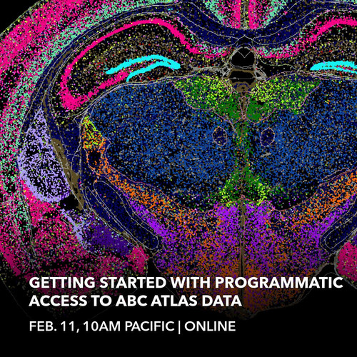 G JEGz9W4AA1o9Z?format=jpg.jpg