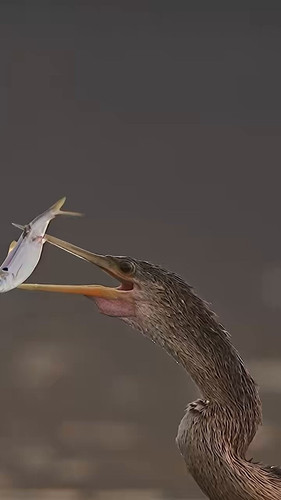 LrGCmX9xxvx xWvB.jpg