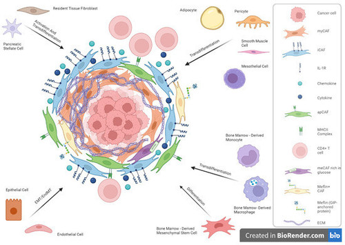 G wKoxSbQAQOcNw?format=jpg.jpg
