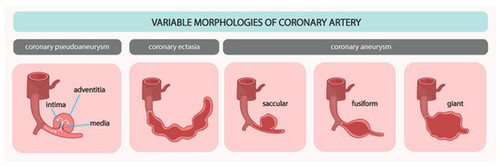 G wKw JbQAEgqAG?format=jpg.jpg