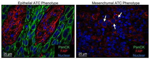 G By5QlWAAE z4X?format=jpg.jpg