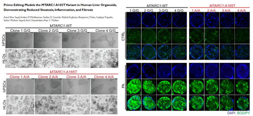 G L uopW8AAsqTn?format=jpg.jpg