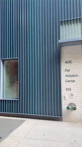 N0wS6a9vzQ4G 7Ig.jpg