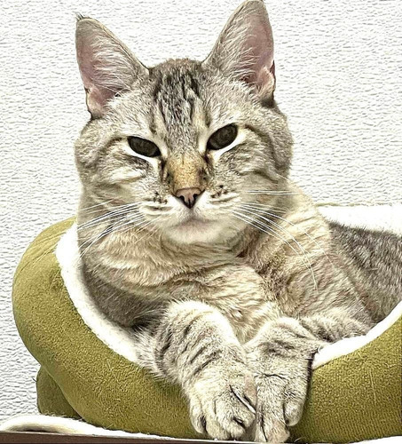 G F9A4GW8AAWFwv?format=jpg.jpg