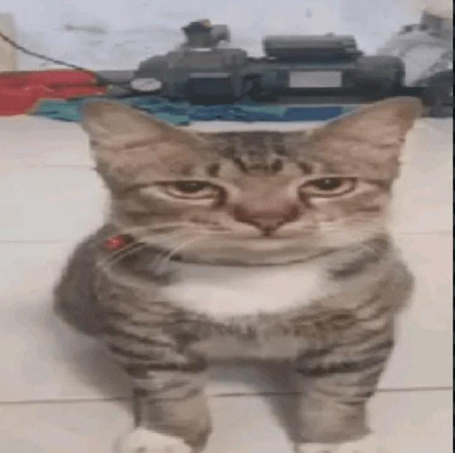 file.jpg