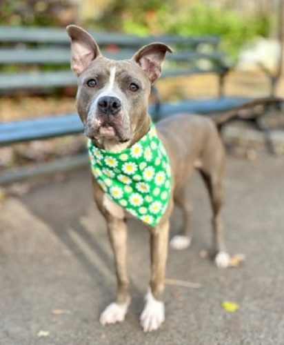 G eOmJvWcAAqcCc?format=jpg.jpg