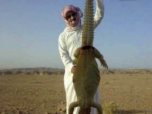 G KJwREXQAAZzn4.jpg