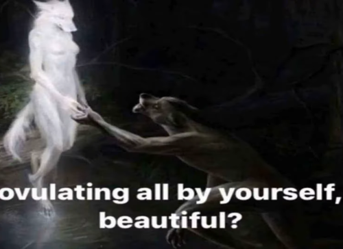 15414677b6e576449681c09c6cee75935ab37d0393c7e78135148be226603c29.png