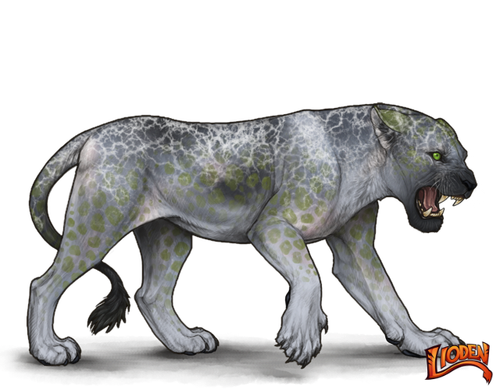 lioden wardrobe (55).png