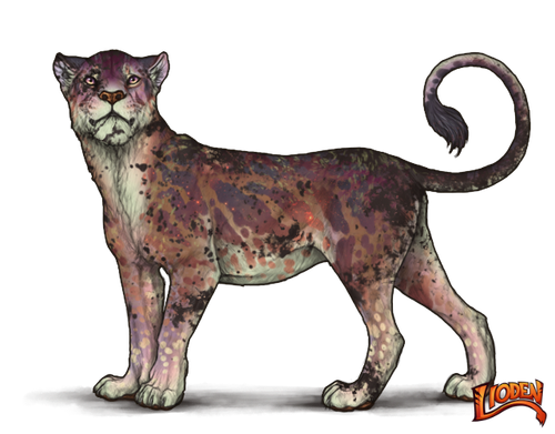 lioden wardrobe (49).png