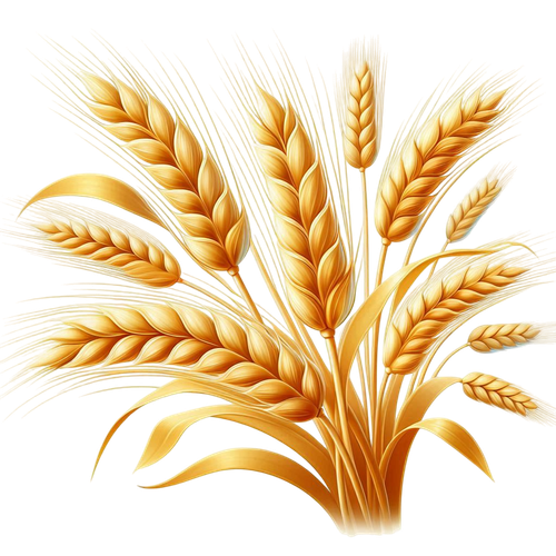 yellowmellow wheat2.png