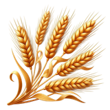 yellowmellow wheat3