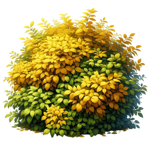 yellowmellow bush.png