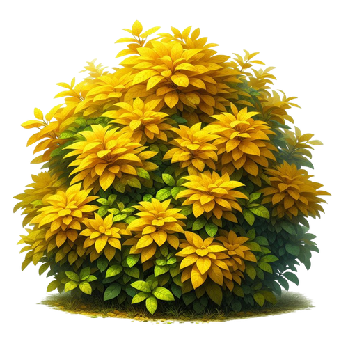 yellowmellow bush3.png